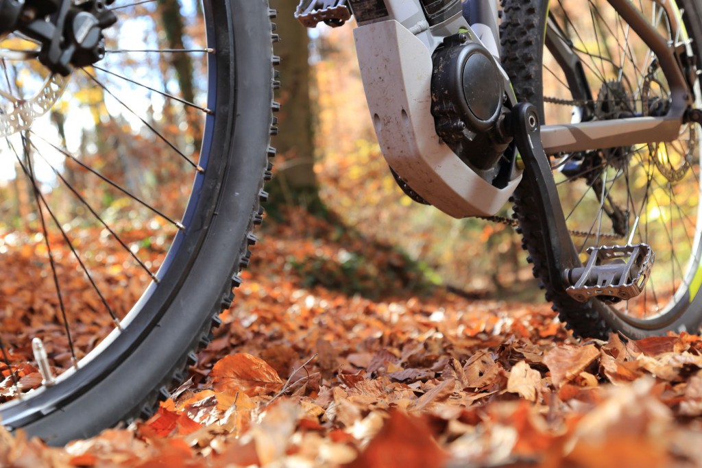 48326343 - a closeup of e-mountain bike with motor and gearbox